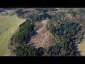 Posadzą las w Nadleśnictwie Lwówek Śląski
